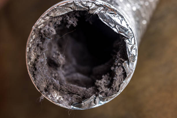 Best Air Vent Cleaning Services  in Laverne, OK